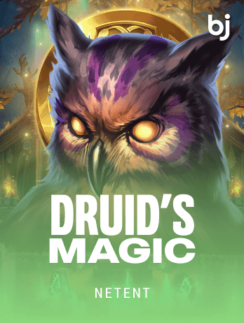 Druid’s Magic game screenshot